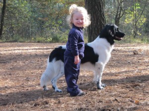 Great family dog: picture by Susan Perdok