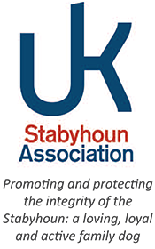 Stabyhoun UK